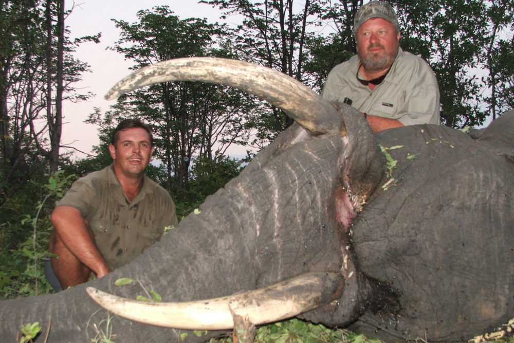 Big 5 Hunt Safari South Africa