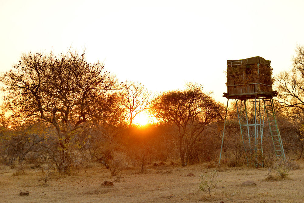 Sadaka Safaris - African hunting safaris