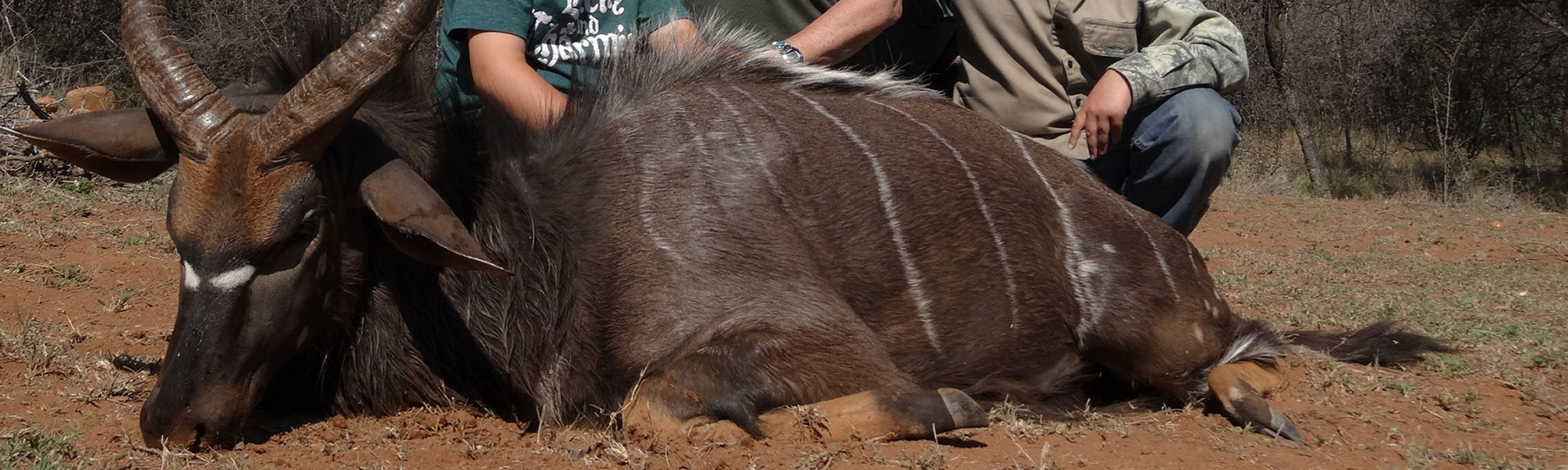 Trophy Hunting Safaris Southern Africa