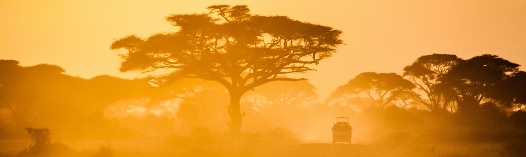 Hunting safari, Sadaka Safaris reviews