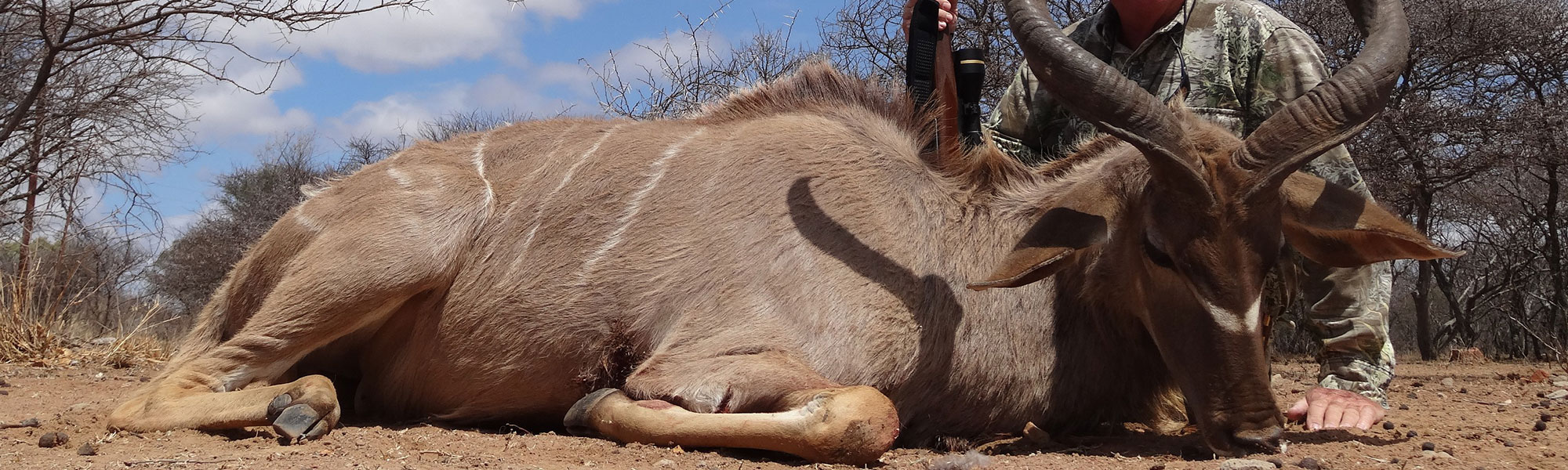 Trophy Hunting Safaris Southern Africa