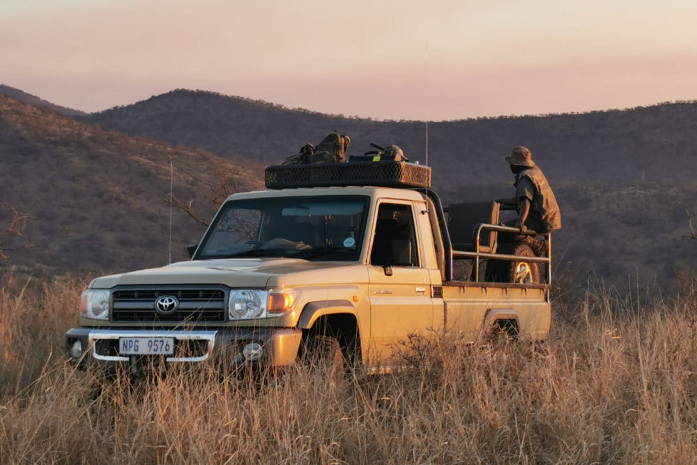 Hunting Safari Information South Africa