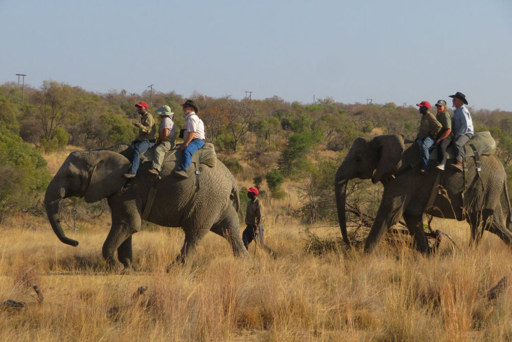 Hunting Safaris South Africa