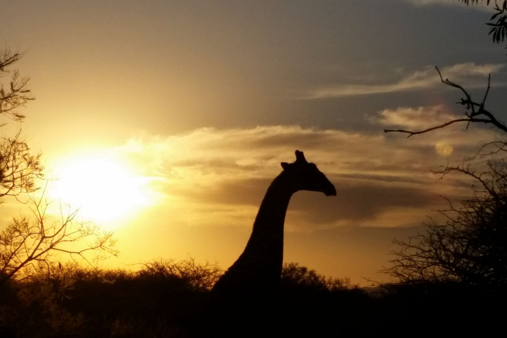 Sadaka Safaris South Africa