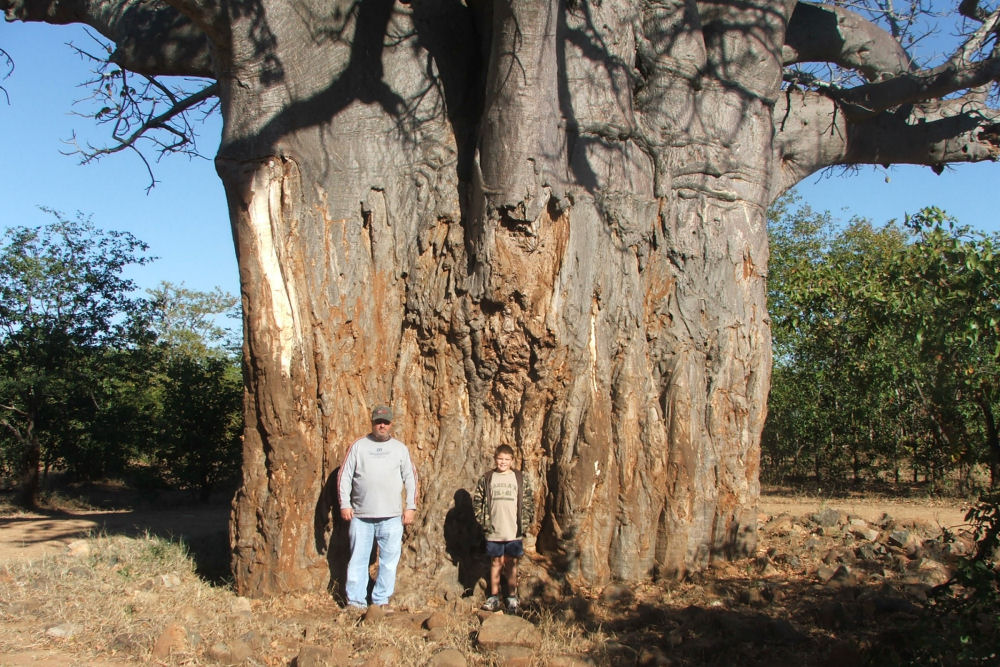 Sadaka Safaris South Africa