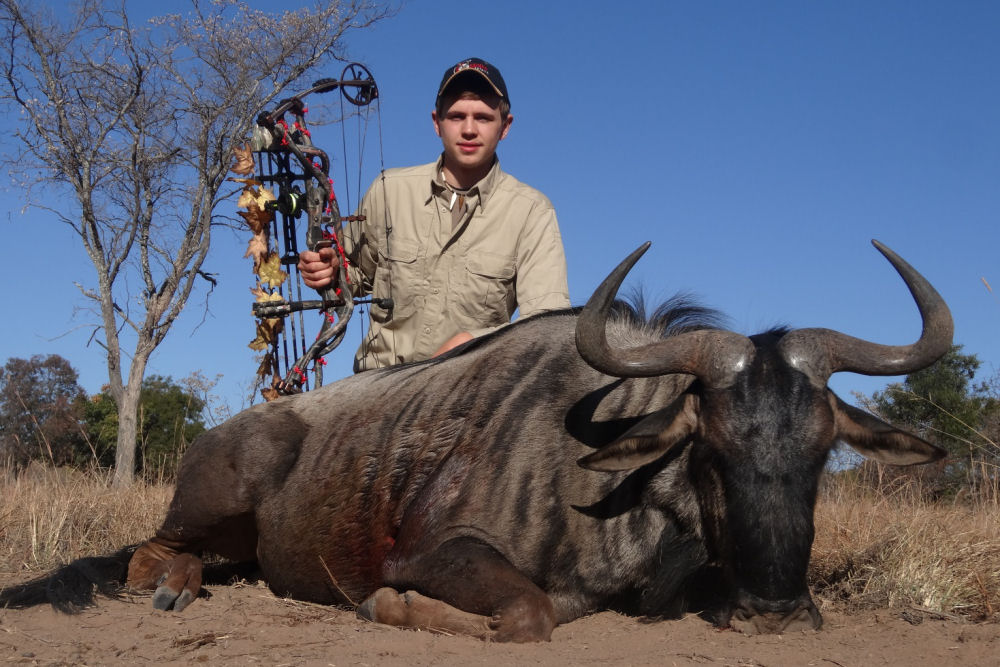 Buffalo Bow Hunt, South Africa