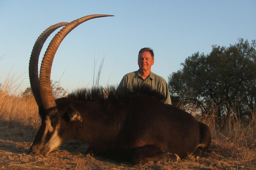 Impala Hunting South Africa