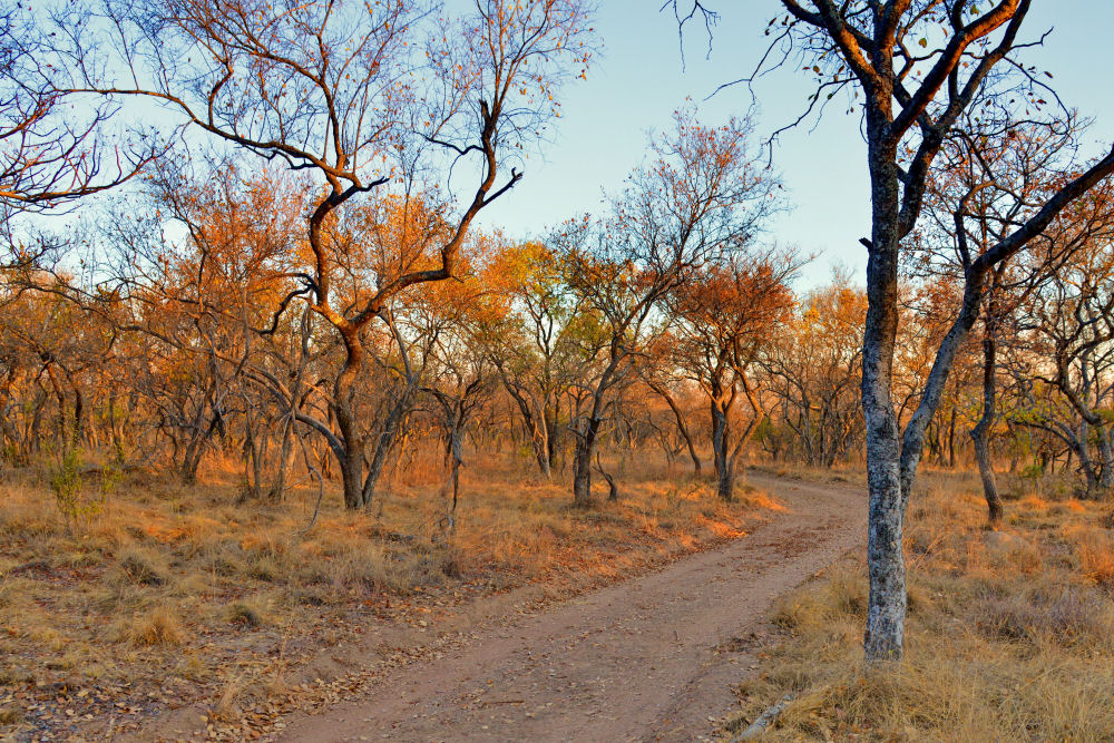 Photography Safaris South Africa