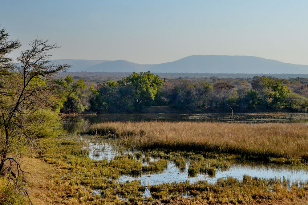 Photography Safaris South Africa