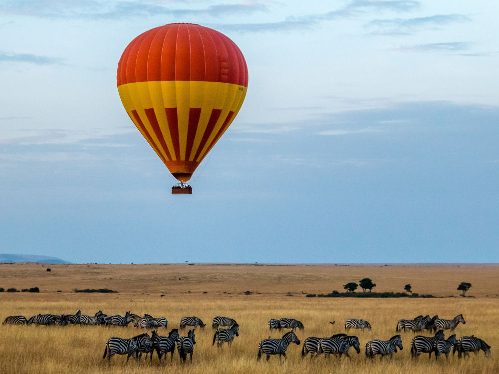 Photographic Safaris South Africa