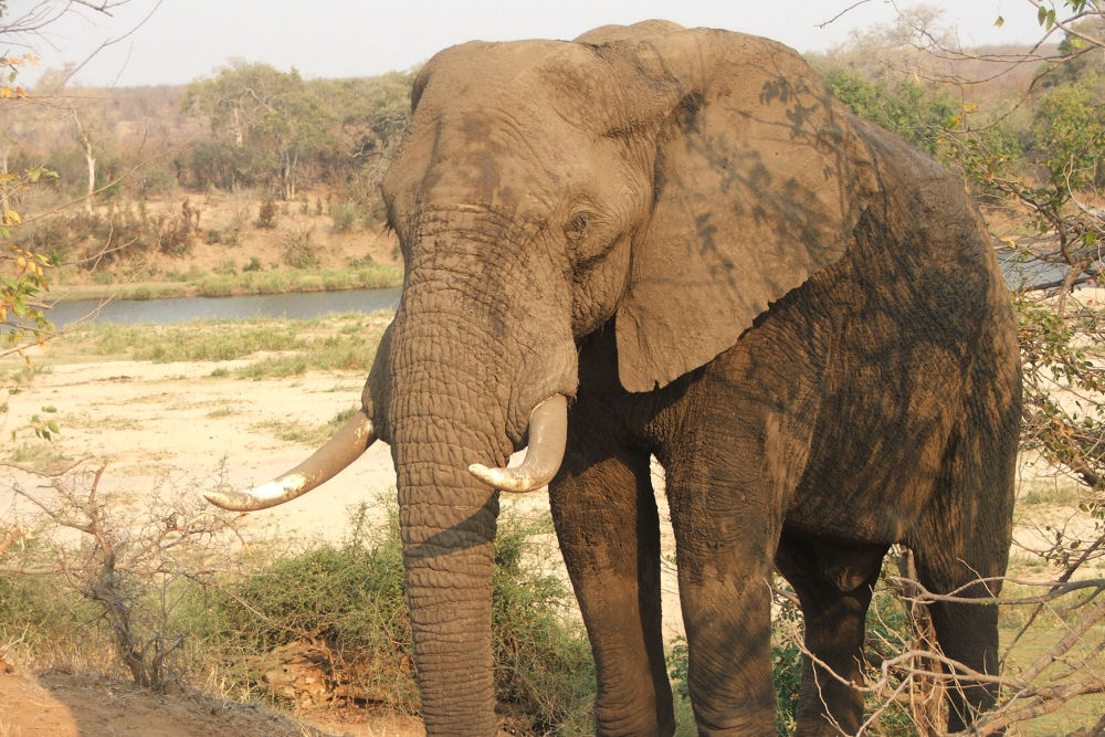 Photographic Safari Southern Africa