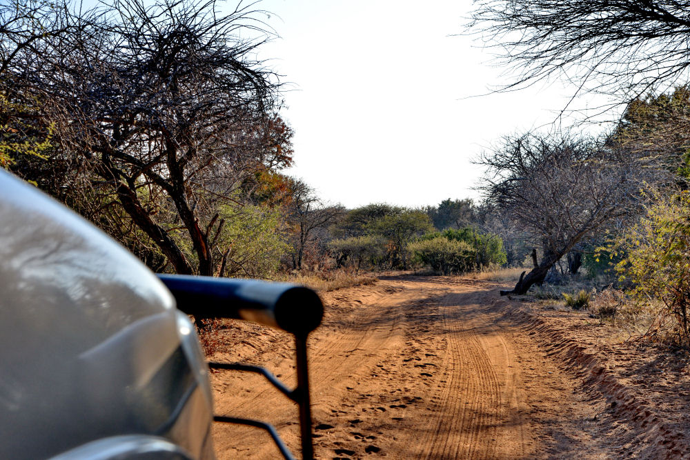 Photography Safari South Africa